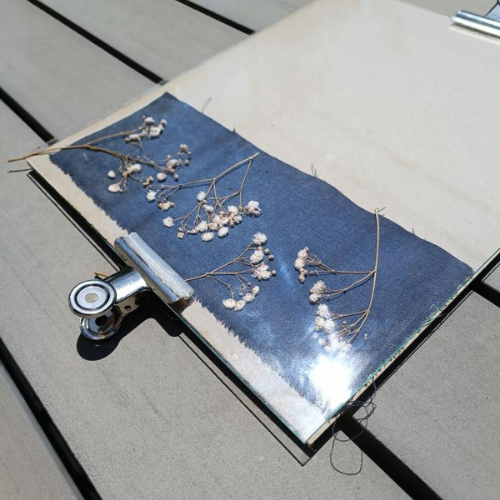 atelier cyanotype